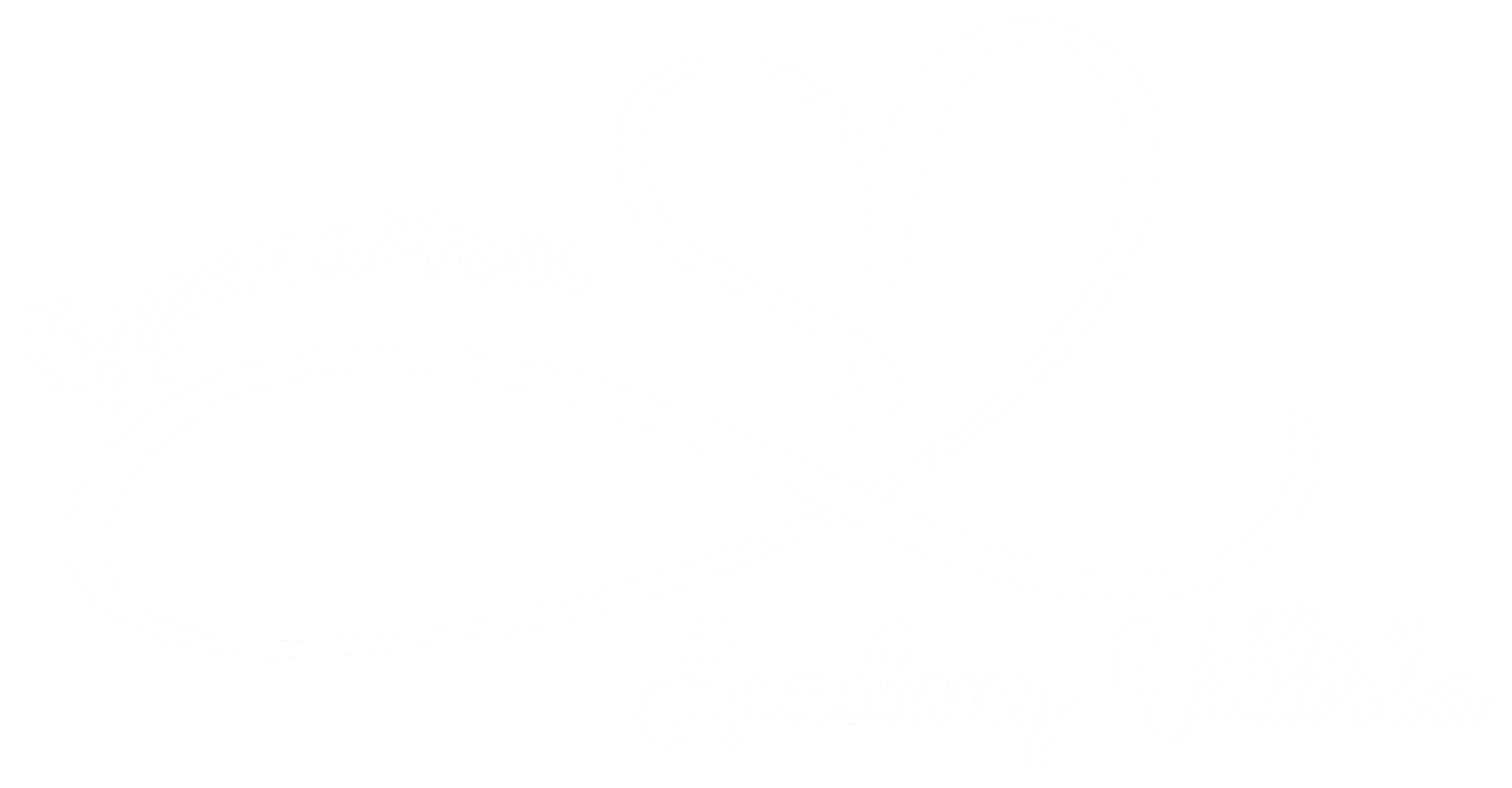 Gymnasium Academy Villorba